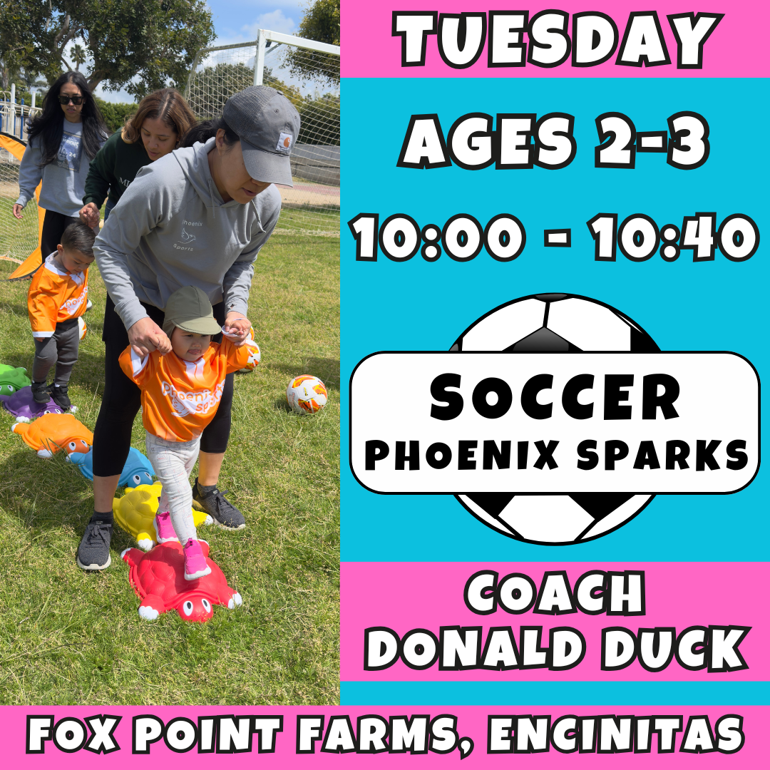 8/19 - 10/7 | Ages 2-3<br>Tuesday Toddler Soccer<br>Fox Point Farms, Encinitas<br>10 Total Spots