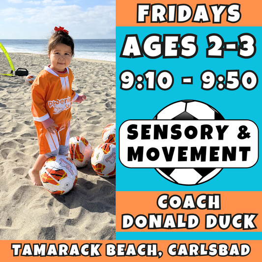 6/25 - 8/13 | Ages 2-3<br>Friday Sensory & Sports Fitness<br>Tamarack Beach, Carlsbad<br>10 Total Spots