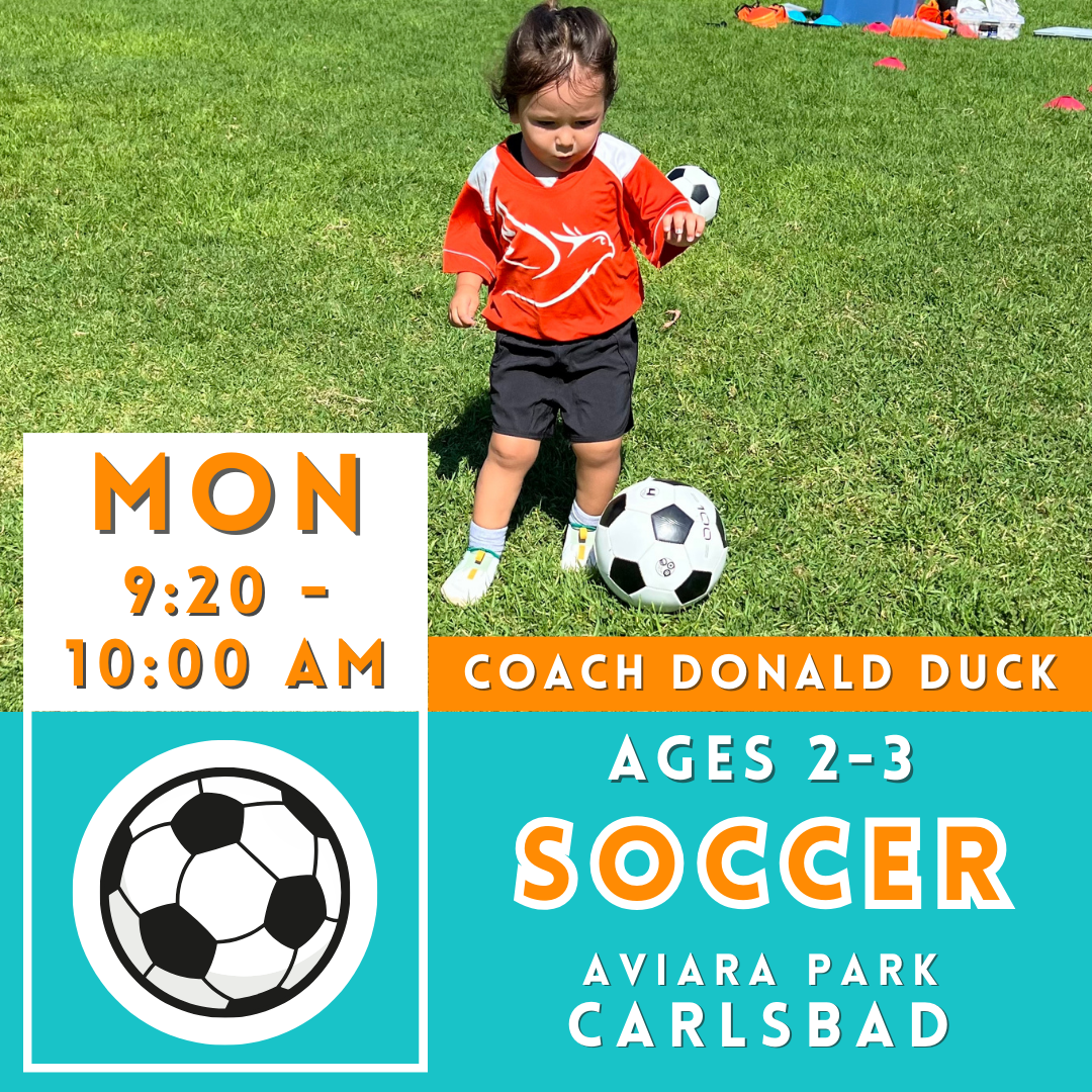 Aviara Park Carlsbad Toddler Soccer (ages 2-3) Mondays