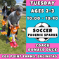 8/19 - 10/7 | Ages 2-3<br>Tuesday Toddler Soccer<br>Fox Point Farms, Encinitas<br>10 Total Spots