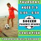 3/12 - 5/7 | Ages 7-9<br>Beach Soccer Fitness & Skills<br>Tamarack Beach, Carlsbad<br>10 Total Spots