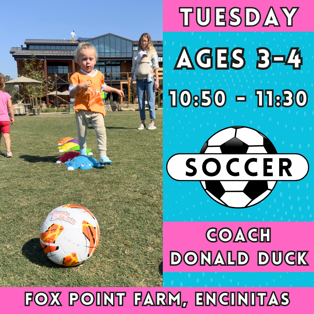 Sports Programs for Kids at Encinitas Community Park CA