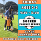 2/6 - 3/27 | Ages 2-3<br>Friday Kids Soccer<br>The Foothills (HOA), Carlsbad<br>Open to All<br>10 Total Spots