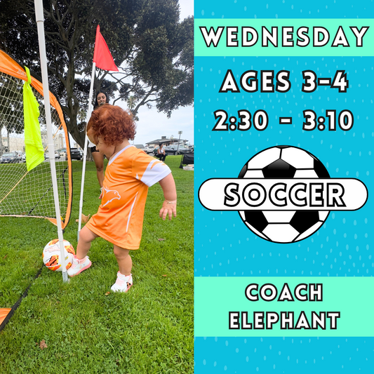 11/6 - 1/15 | Ages 3-4<br>Wednesday Kids Soccer<br>Laguna (Kelly) Park, Carlsbad